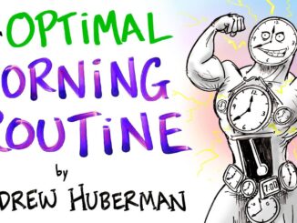 The Optimal Morning Routine - Andrew Huberman