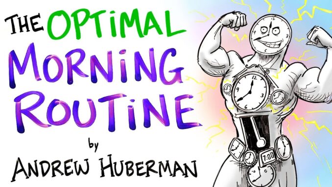 The Optimal Morning Routine - Andrew Huberman The Optimal Morning Routine - Andrew Huberman